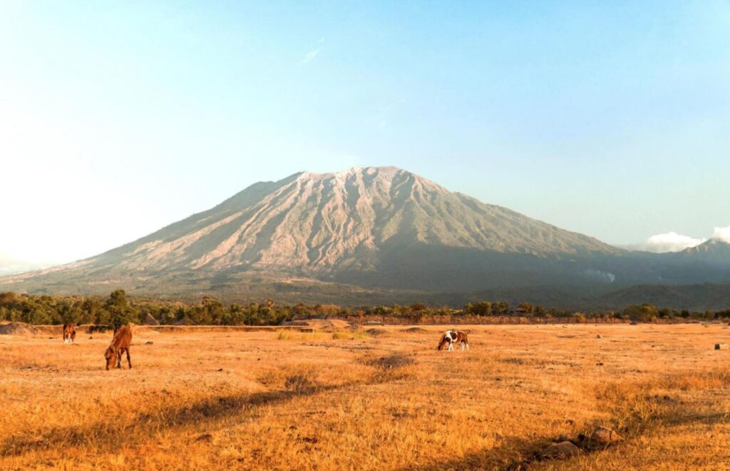 Padang savana tianyar