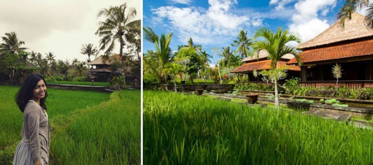 Villa dengan Pemandangan Sawah di Bali