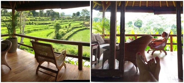 Villa dengan Pemandangan Sawah di Bali