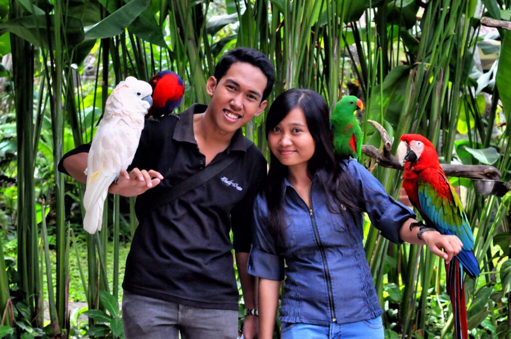 Bali Bird Park