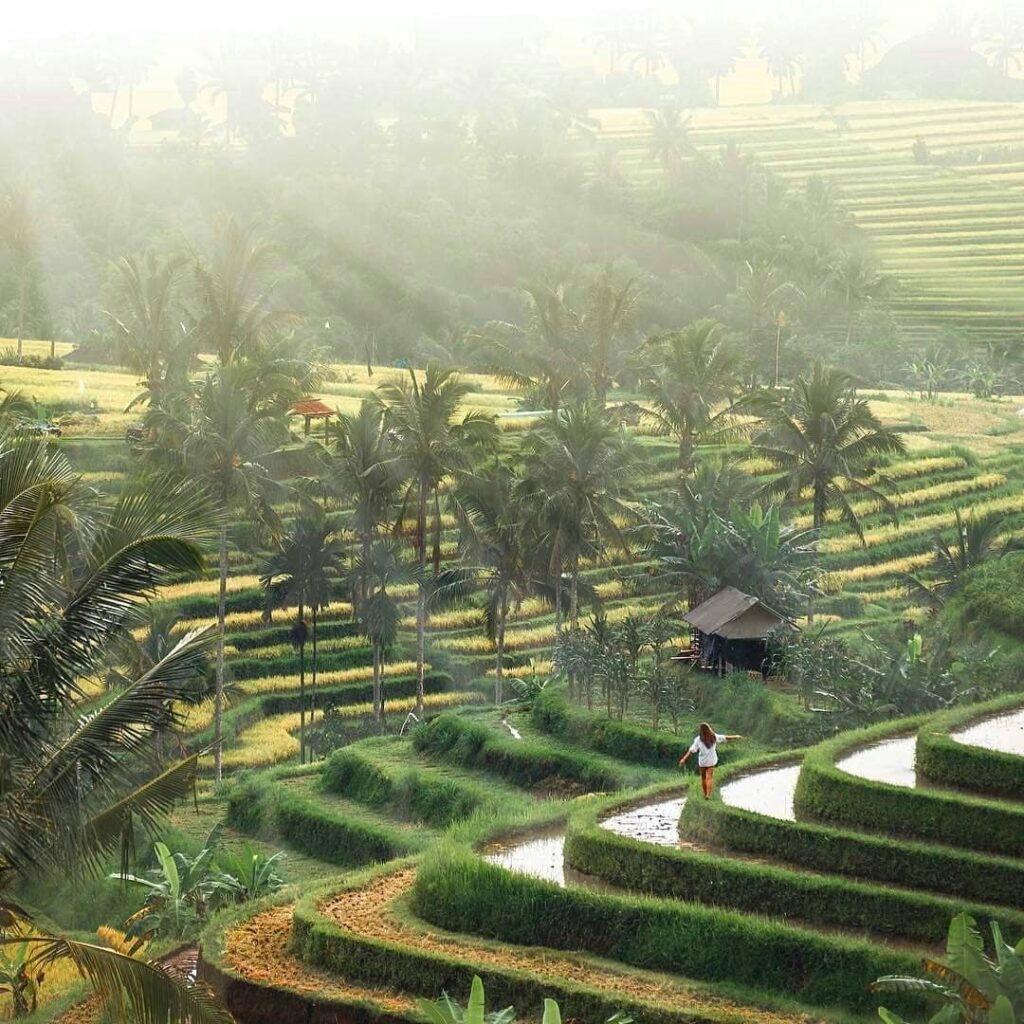 Jatiluwih Rice Terraces