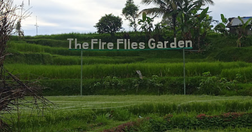 The Fire Flies Garden